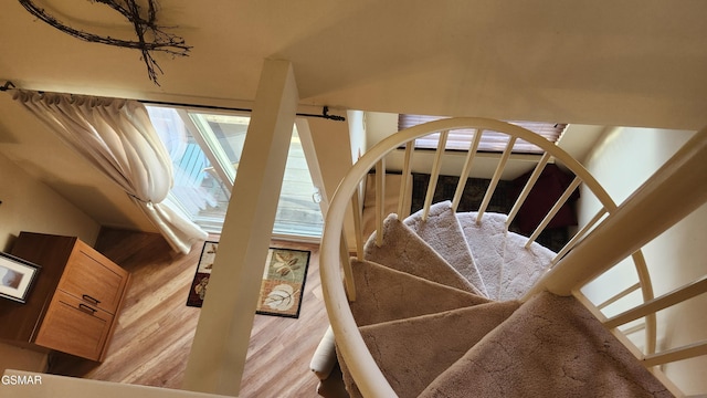 stairway with hardwood / wood-style flooring