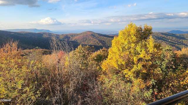 view of mountain feature