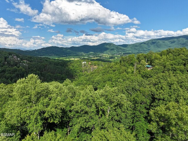 1856 Natures Ln, Sevierville, TN 37862 - photo 41