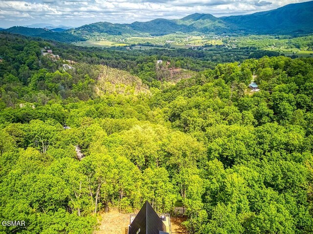 1856 Natures Ln, Sevierville, TN 37862 - photo 50