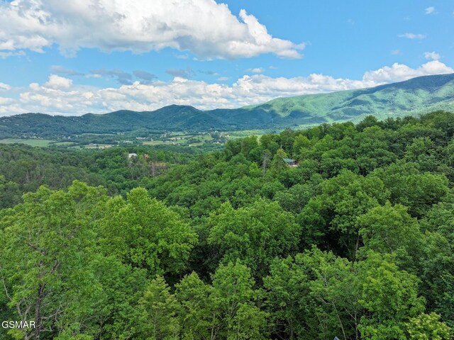 1856 Natures Ln, Sevierville, TN 37862 - photo 49