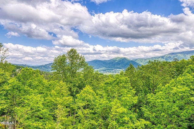1856 Natures Ln, Sevierville, TN 37862 - photo 69