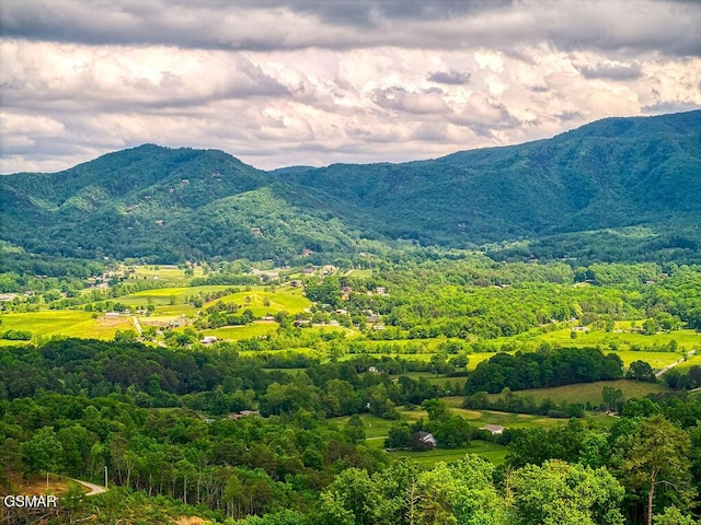 1856 Natures Ln, Sevierville, TN 37862 - photo 4