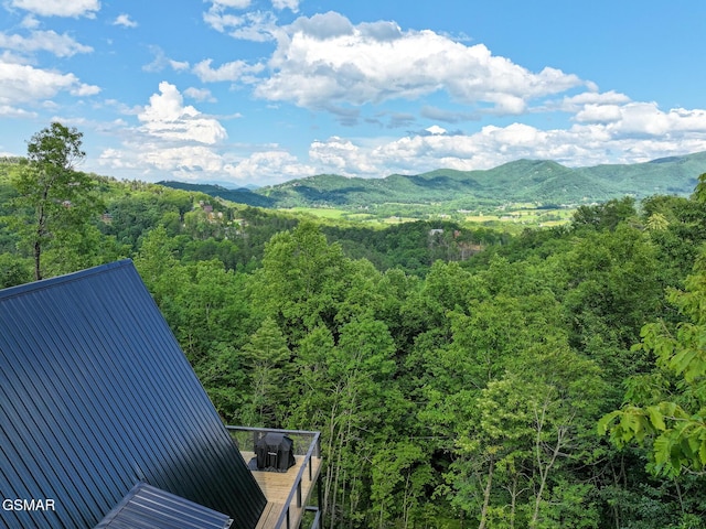 1856 Natures Ln, Sevierville, TN 37862 - photo 17