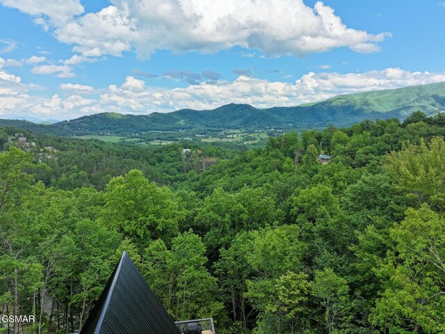 1856 Natures Ln, Sevierville, TN 37862 - photo 33