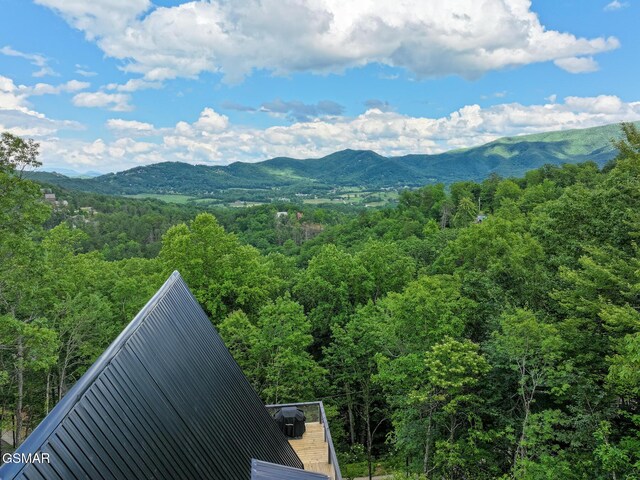 1856 Natures Ln, Sevierville, TN 37862 - photo 25