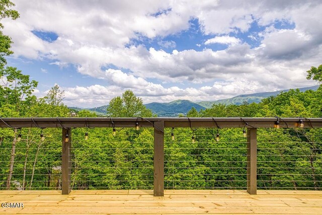 1856 Natures Ln, Sevierville, TN 37862 - photo 68