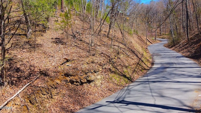 LOT4 Windy Ln, Sevierville TN, 37876 land for sale
