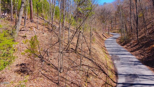 LOT4 Windy Ln, Sevierville, TN 37876