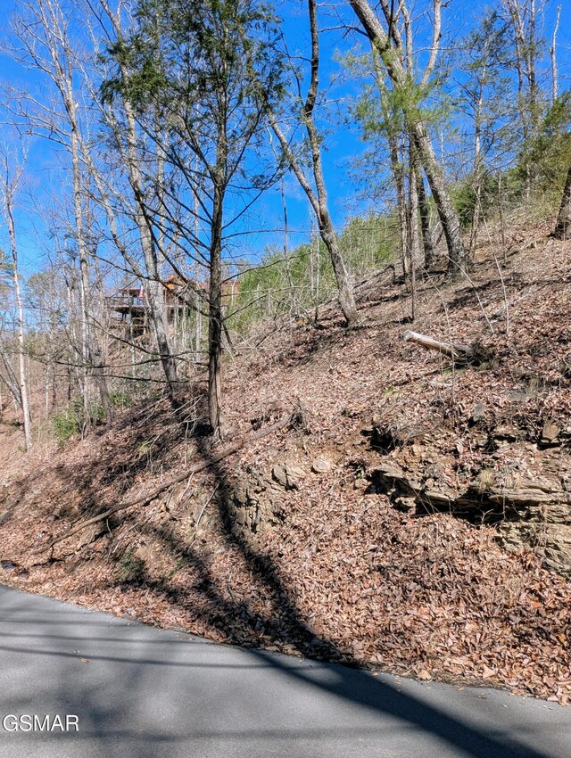 LOT4 Windy Ln, Sevierville, TN 37876