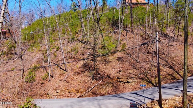 LOT4 Windy Ln, Sevierville, TN 37876