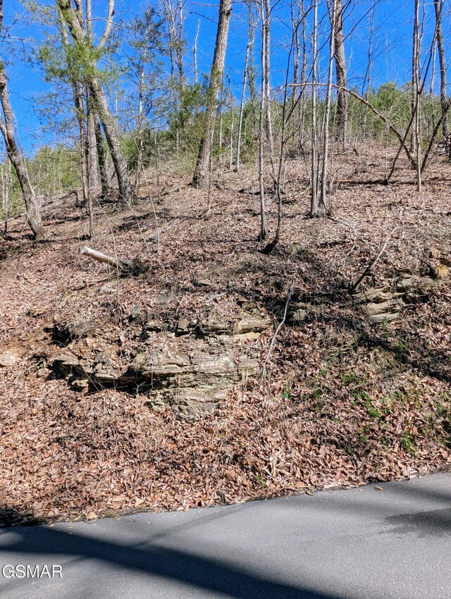 LOT4 Windy Ln, Sevierville, TN 37876