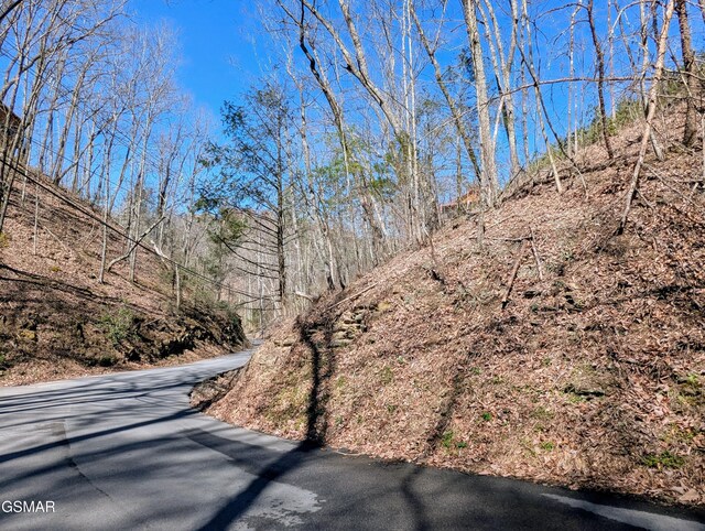 LOT4 Windy Ln, Sevierville, TN 37876