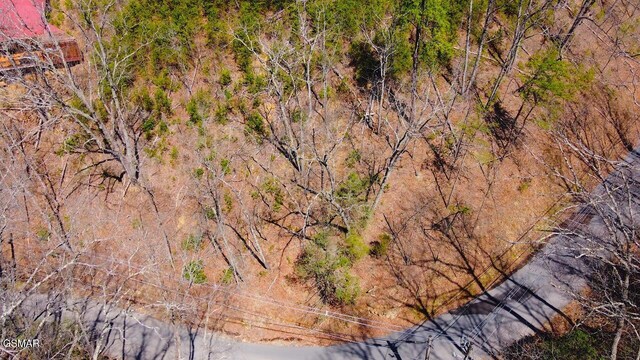 LOT4 Windy Ln, Sevierville, TN 37876
