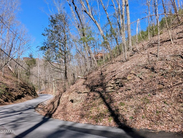 LOT4 Windy Ln, Sevierville, TN 37876