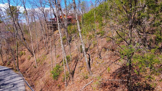 LOT4 Windy Ln, Sevierville, TN 37876
