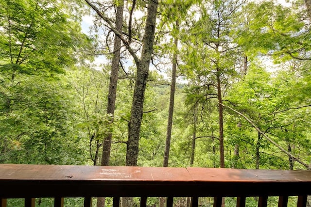 1656 Racoon Den Way, Sevierville, TN 37862 - view of yard with a wooded view
