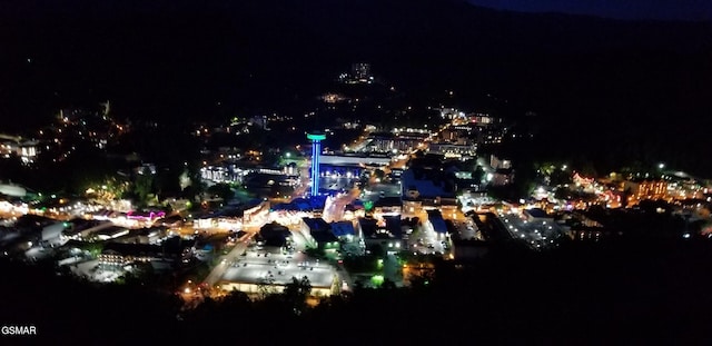 nature at night featuring a view of city lights