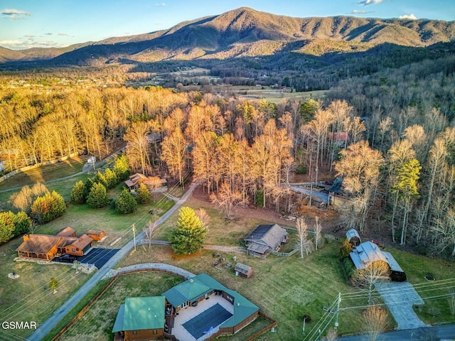 3501 Ginseng Way, Pigeon Forge, TN 37862 - aerial view of a mountain backdrop and a heavily wooded area