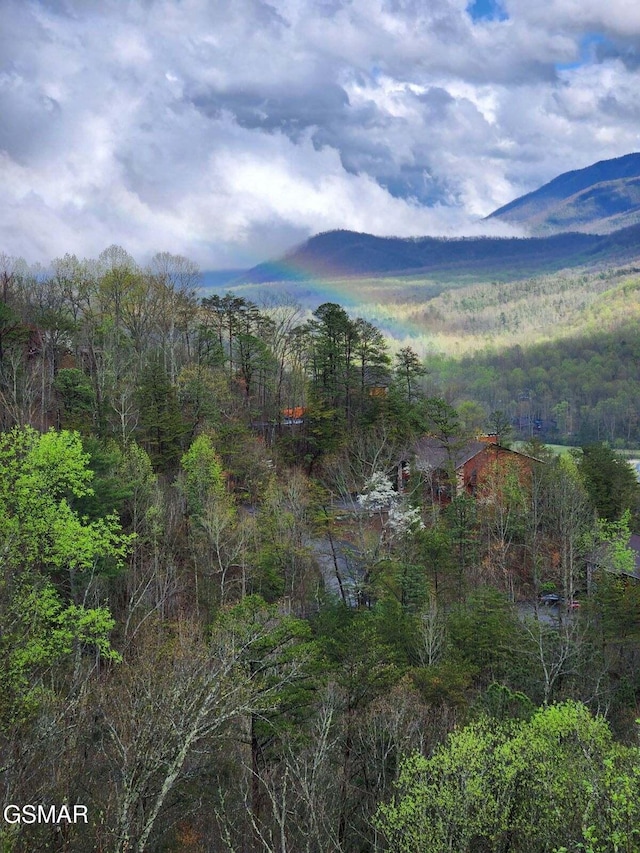 3710 Weber Rd Unit 303-A, Gatlinburg, TN 37738 - photo 38