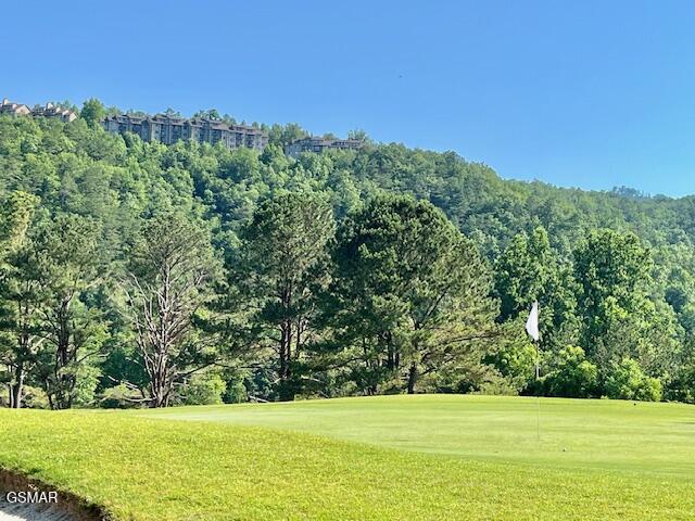 3710 Weber Rd Unit 303-A, Gatlinburg, TN 37738 - photo 33
