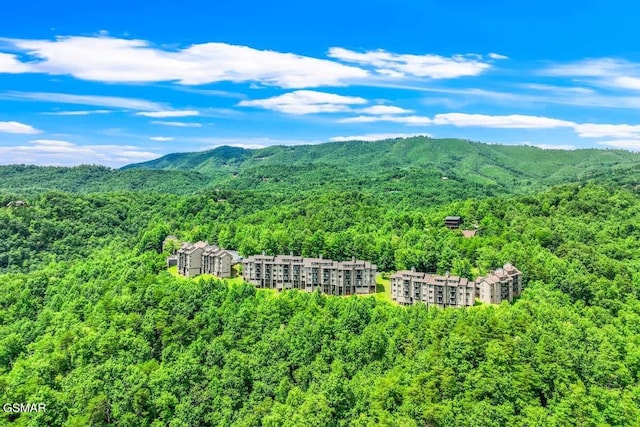 3710 Weber Rd Unit 303-A, Gatlinburg, TN 37738 - photo 32