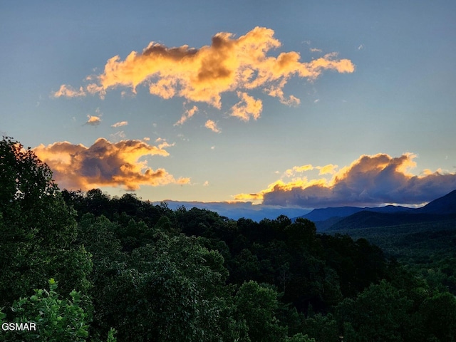 3710 Weber Rd Unit 303-A, Gatlinburg, TN 37738 - photo 41