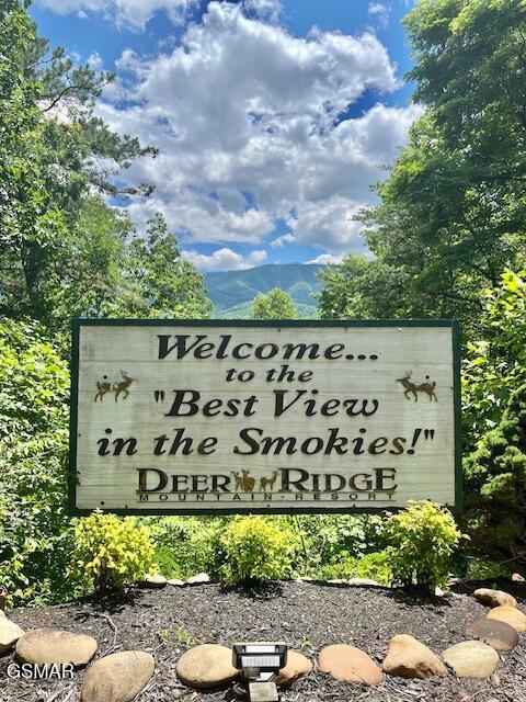 3710 Weber Rd Unit 303-A, Gatlinburg, TN 37738 - photo 39