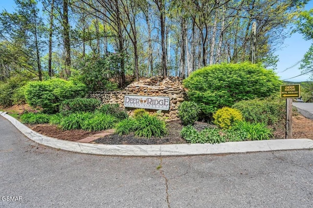 3710 Weber Rd Unit 303-A, Gatlinburg, TN 37738 - photo 22