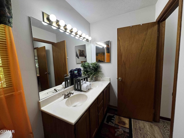 bathroom with a sink, double vanity, and a textured ceiling