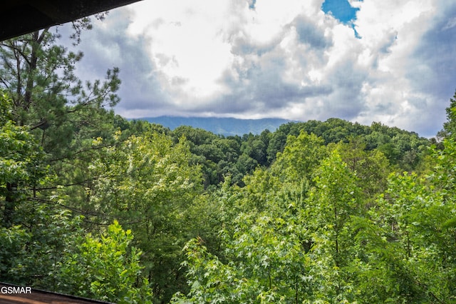 934 Vixen Run, Gatlinburg, TN 37738 - photo 52