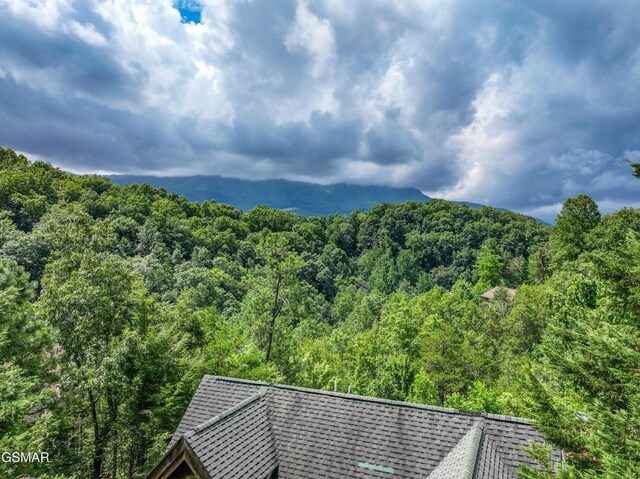 934 Vixen Run, Gatlinburg, TN 37738 - photo 2