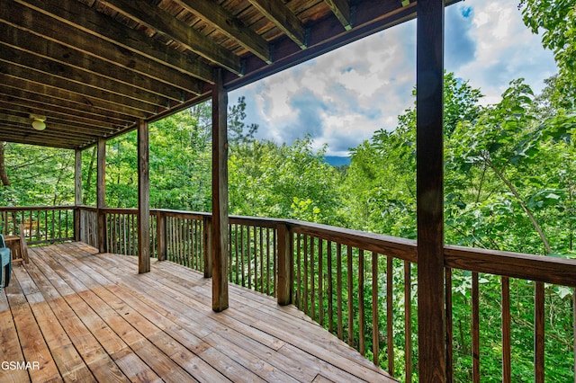 934 Vixen Run, Gatlinburg, TN 37738 - photo 51
