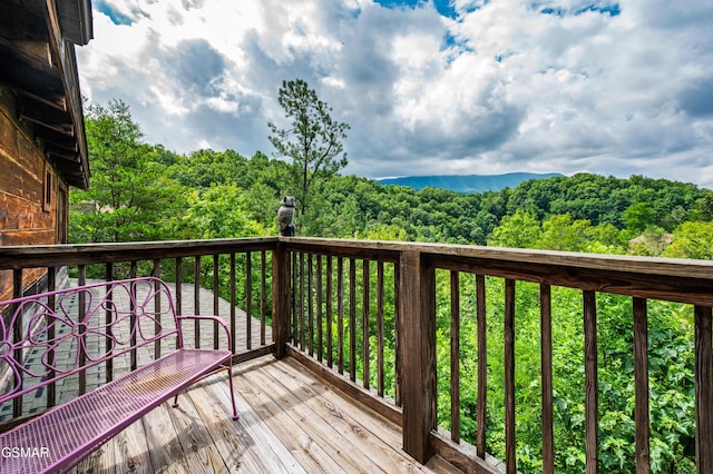 934 Vixen Run, Gatlinburg, TN 37738 - photo 31