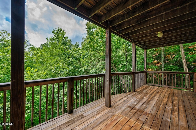 934 Vixen Run, Gatlinburg, TN 37738 - photo 50