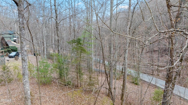 Listing photo 3 for LOT15 Bluff Mountain Rd, Sevierville TN 37876