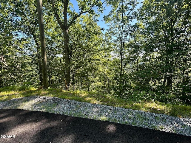 LOT1R Overholt Trl, Sevierville, TN 37862