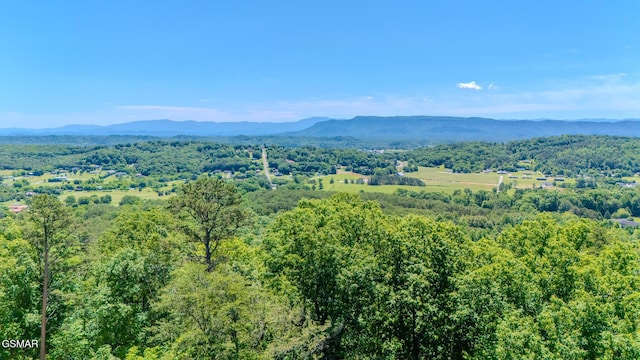 944 Smoky Mountain View Ct, Seymour, TN 37865 - view of mountain background featuring a heavily wooded area