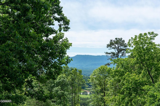 944 Smoky Mountain View Ct, Seymour, TN 37865 - view of mountain background