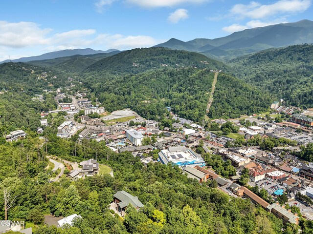 365 Smoky View Rd, Gatlinburg, TN 37738 - photo 64