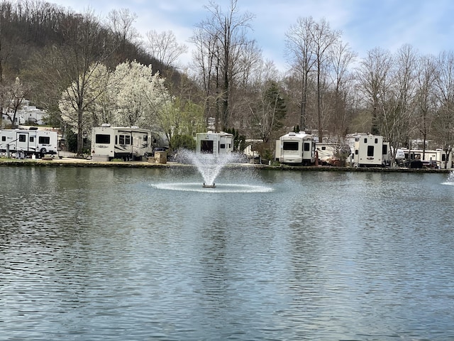 4229 E Parkway Pkwy, Gatlinburg, TN 37738 - photo 8