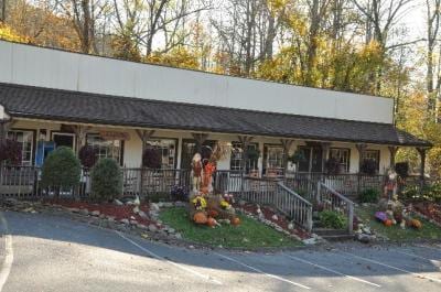 4229 E Parkway Pkwy, Gatlinburg, TN 37738 - photo 9