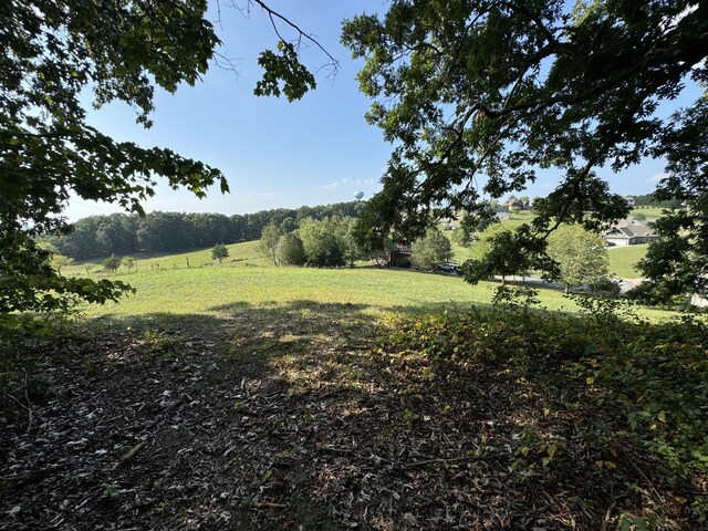 LOT49 Lexington Park Ave, Sevierville, TN 37862 - photo 4