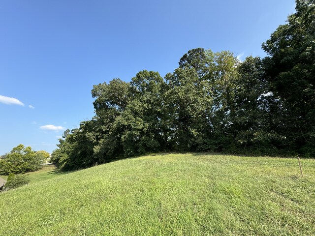LOT49 Lexington Park Ave, Sevierville, TN 37862 - photo 3