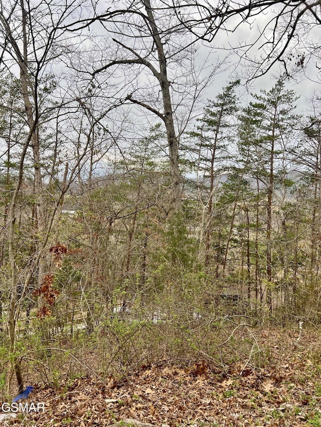 view of landscape featuring a forest view