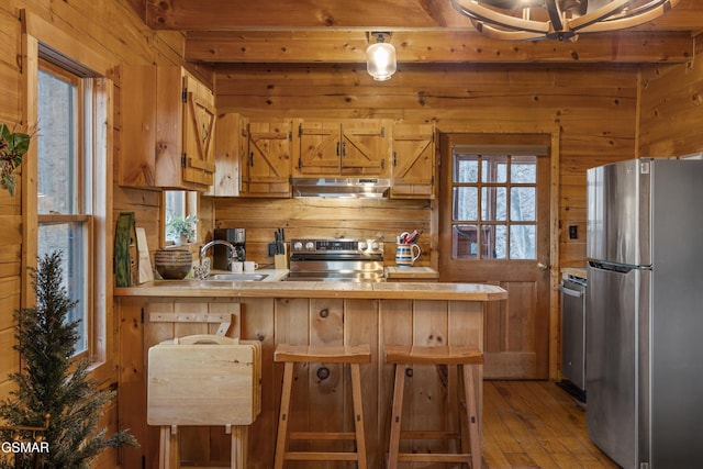 kitchen with wooden walls, under cabinet range hood, a peninsula, a sink, and appliances with stainless steel finishes