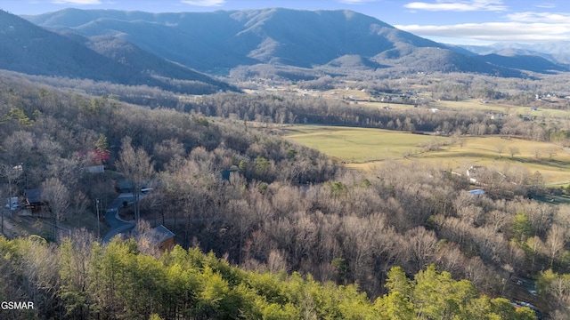 property view of mountains with a wooded view