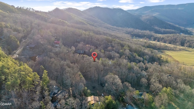 view of mountain feature with a forest view