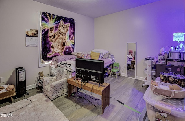 recreation room with hardwood / wood-style floors