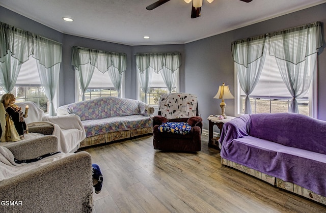 living room featuring hardwood / wood-style flooring and ceiling fan